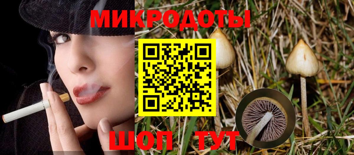 Галлюциногенные грибы Psilocybe Анжеро-Судженск