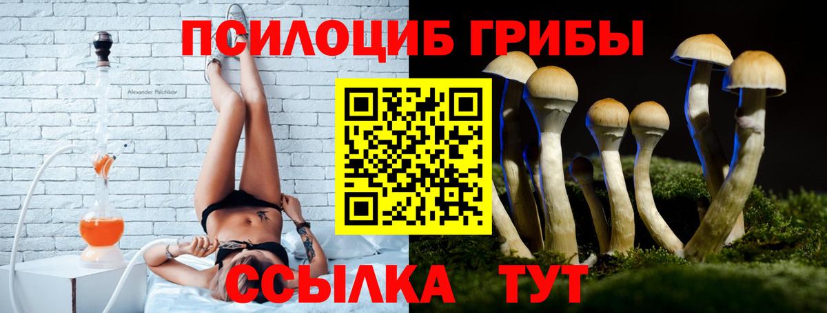 Анжеро-Судженск  Псилоцибиновые грибы мицелий  Вход с VPN 